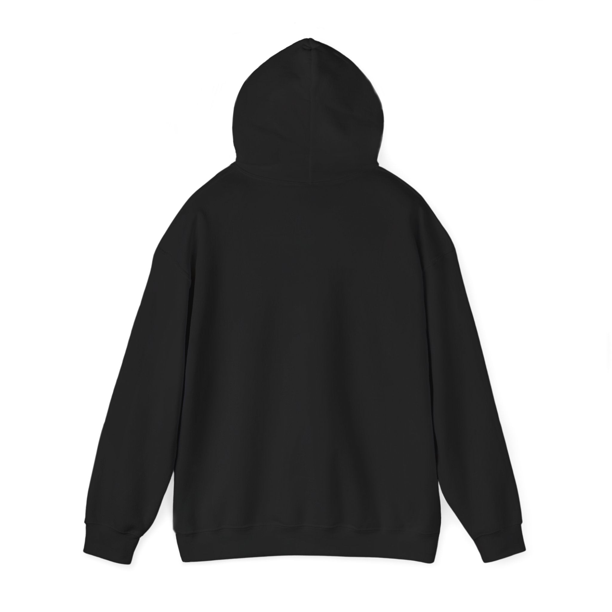 Support Local Strippers Hoodie